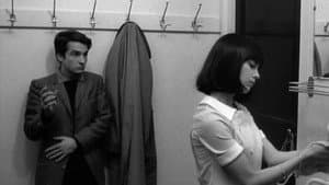 Masculin féminin — foto 11