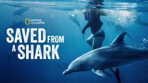 Saved From a Shark — foto 3