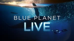 Blue Planet Live — foto 5