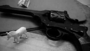 The Discipline of D.E. — foto 1