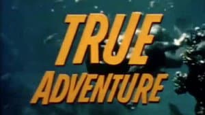 True Adventure — foto 1