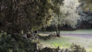 Oblio — foto 6
