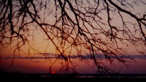 The Legend of Boggy Creek — foto 12