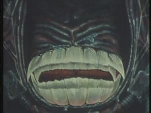 Episodio 5