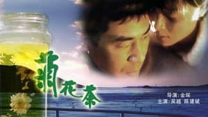 菊花茶 — foto 1