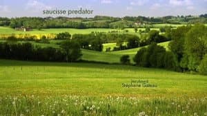 Episodio 9