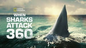 When Sharks Attack 360 — foto 8