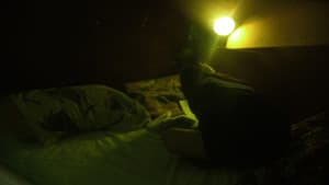 聖誕禮物 — foto 2