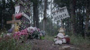 Lo que la verdad esconde: Caso Asunta — foto 1