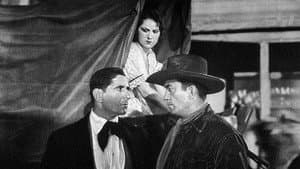 Three Rogues — foto 1