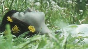 EMOTION 伝説の午後＝いつか見たドラキュラ — foto 1