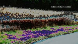 Leaves That Fall of the Tree — foto 1