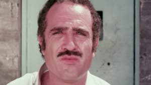 ג'וקר — foto 1