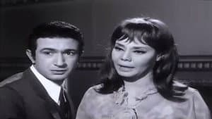 السراب — foto 2
