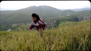 Caijin — foto 1