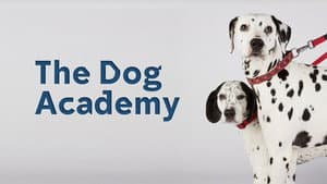 Bad Dog Academy — foto 1