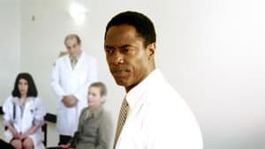 Doctor Bello — foto 1