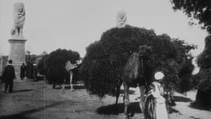 Le Caire, sortie du pont de Kasr-el-Nil (chameaux) — foto 1