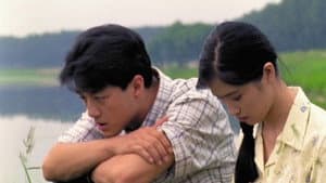 方便面时代 — foto 1