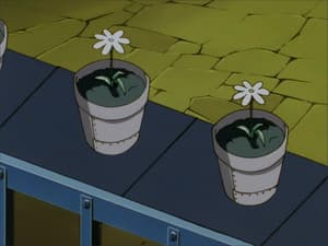 Episodio 10