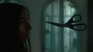 Storm — foto 1