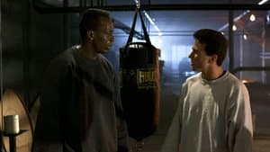 Showdown — foto 5