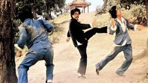 Hu quan — foto 1