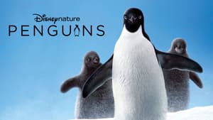 Los pinguinos — foto 2