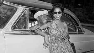 Driving While Black: Race, Space and Mobility in America — foto 9