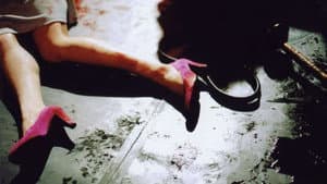 분홍신 — foto 3
