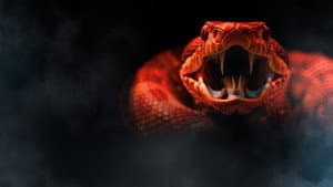 One Big Snake — foto 2