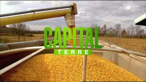 Capital Terre — foto 1