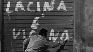 La Cina è vicina — foto 2