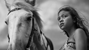 First Horse — foto 1
