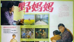野妈妈 — foto 1