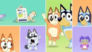 Pequeñas historias de Bluey — foto 4