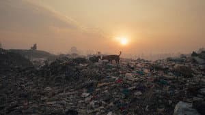 Plastic Fantastic — foto 1
