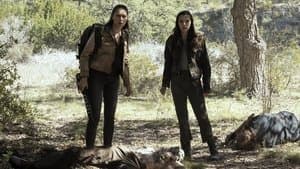 Episodio 7