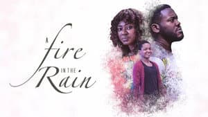 A Fire In The Rain — foto 1