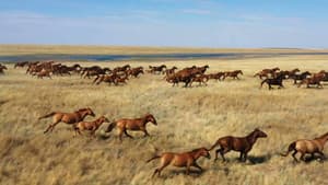 L’Odyssée des animaux — foto 1