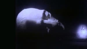 Сон — foto 1