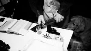 Harry : Portrait d’un détective privé — foto 5