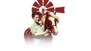 The Red Pony — foto 9