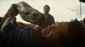 Anaconda — foto 6