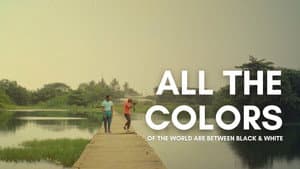 All the Colours of the World Are Between Black and White — foto 4