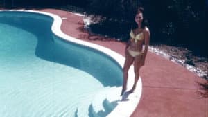 Two Roses and a Golden Rod — foto 1