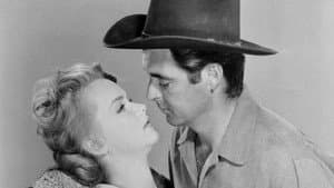 The Hired Gun — foto 1
