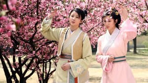 孔雀东南飞 — foto 2