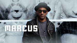 Marcus — foto 3