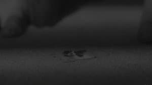 Woof — foto 5